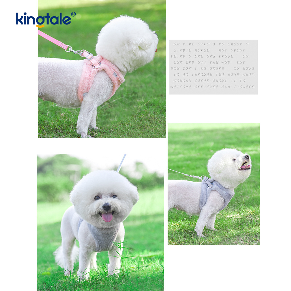 봉제 애완견 하네스 가죽끈 세트 가을 산책견 하네스 조끼