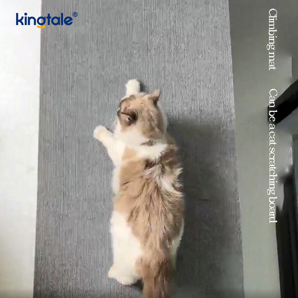 패드 보호 가구를 교체하십시오. 고양이 최근 자동 절단 접착제